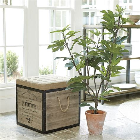 Potted Fig Tree | Ballard Designs