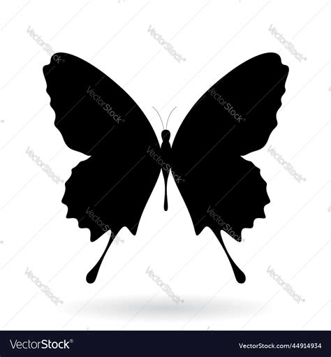 Black butterfly silhouette Royalty Free Vector Image