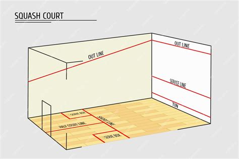 Premium Vector Squash Court In Projection With Red Marking Lines And