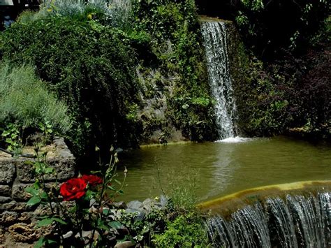 ΘΕΡΑΠΕΥΣΟΥ ΜΕ ΦΥΣΙΚΟ ΤΡΟΠΟΦΥΣΙΟΘΕΡΑΠΕΙΑ Bioathens