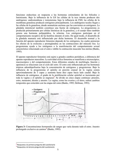 Citología vaginal exfoliativa canina PDF