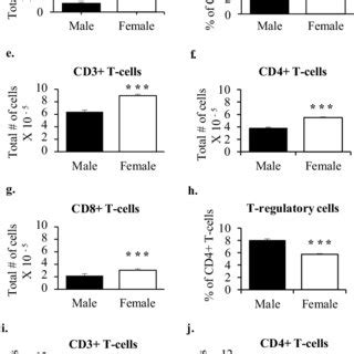 PDF Sex Differences In Mouse Popliteal Lymph Nodes