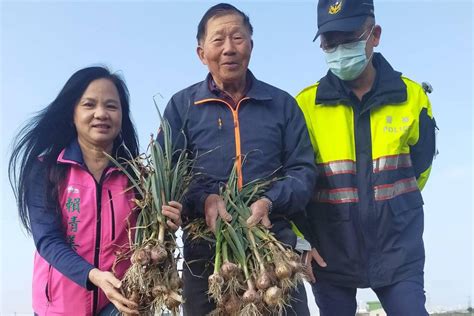 伸港蒜頭紅到宵小覬覦 警方啟動護農專案加強巡邏 中彰投 地方 聯合新聞網