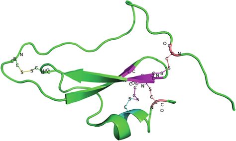 38 Tertiary structure of protein. | Download Scientific Diagram