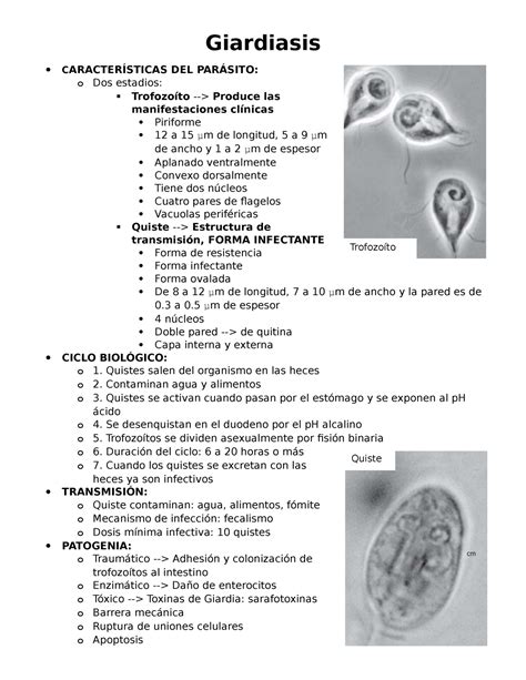 Giardiasis Trofozoíto Quiste Giardiasis CARACTERÍSTICAS DEL PARÁSITO