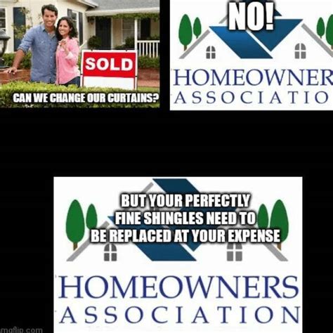 Hoa Memes That Perfectly Balance Passive And Aggressive Pics