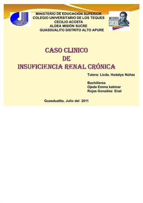 PDF Insuficiencia Renal Grupo 2 DOKUMEN TIPS