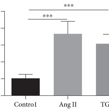 Mir P Expression Is Upregulated In Cardiac Fibrosis A