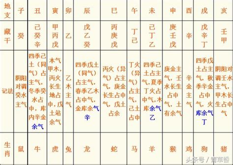 《四柱八字》地支藏干和十神的速记方法与如何确定身旺身弱 每日头条