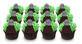 Georgetown Cupcake owners to unveil exclusive new cupcake flavors on QVC