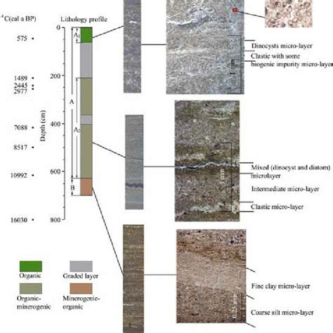 Varve types from Erlongwan maar lake. A, Biogenic varves; B, clastic ...