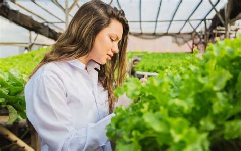 HEINEKEN Green Challenge Premia A Emprendedores Que Impulsan Al Campo