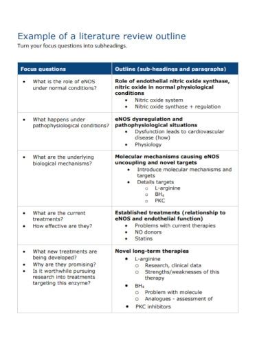 Literature Review Outline Examples Format Pdf