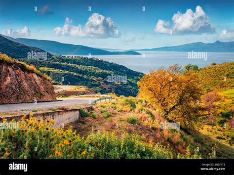 Typical Albanian View Of Adriatic Shore With Empty Asphalt Road