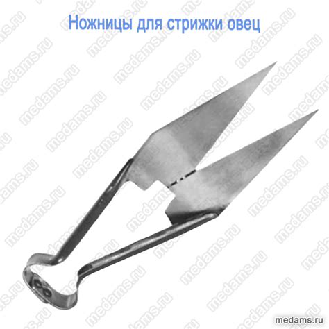 Ножницы ветеринарные из высококачественной стали | По оптовым ценам в ...