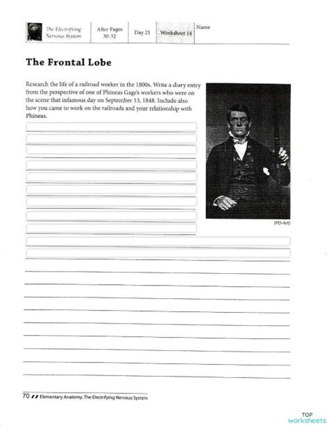 Worksheet 14: The Frontal Lobe Pg 70. Interactive worksheet | TopWorksheets