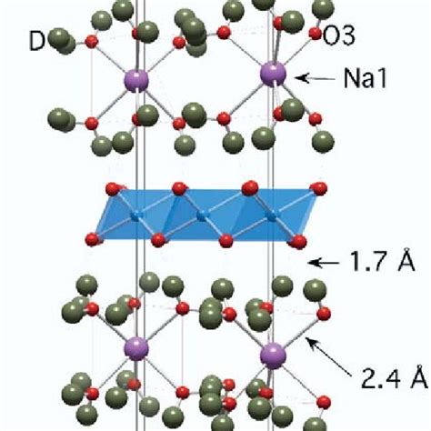 A Three Dimensional Representation Of The Structure Of Na X Coo 2 ·yd 2 Download Scientific