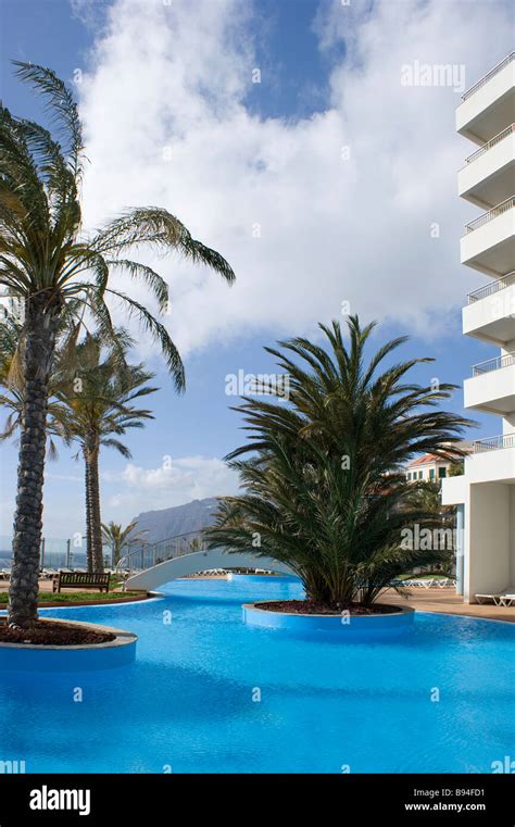 Hotel swimming pool with palm trees Stock Photo - Alamy