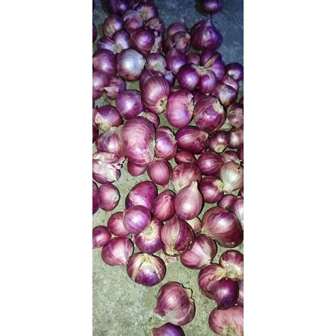 Jual Bawang Merah Brambang Ukuran Besar Kg Shopee Indonesia