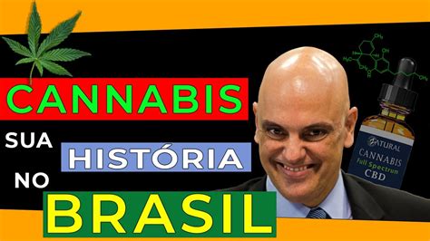 🌿 💊 HistÓria Da Cannabis No Brasil Desde O Início Até Hoje Tudo O