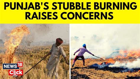 Delhi Pollution Stubble Burning Punjabs Stubble Burning Raises