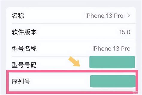 如何查询iPhone13 Pro 手机的国行序列号查询苹果序列号方法 电脑装配网 手机版