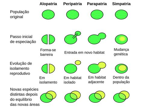 Especiação Alopatrica - Especiação - O que é, tipos, alopátrica, simpátrica, parapátrica