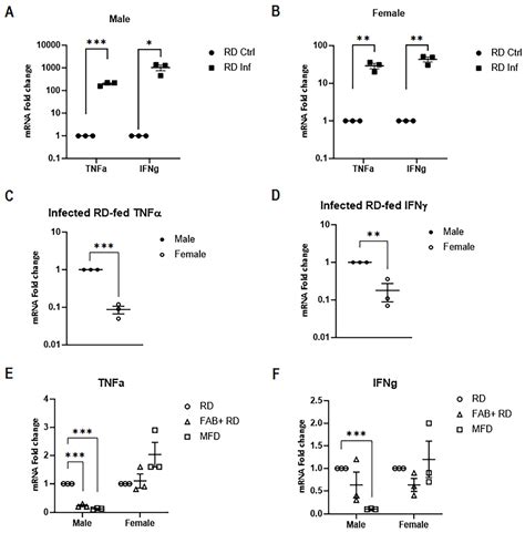 Ijms Free Full Text The Influence Of Body Fat Dynamics On Pulmonary