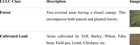 Description of Various Land Use Land Cover Types applied | Download Scientific Diagram