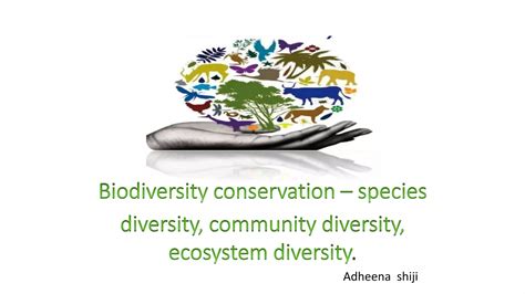 Biodiversity Ppt