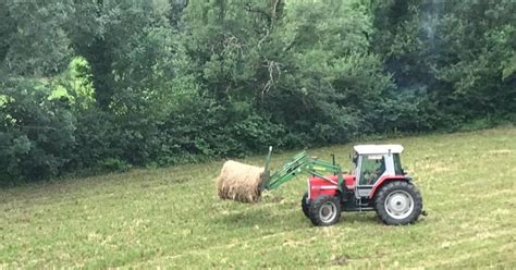 Agricultura abonará la totalidad de las ayudas agroambientales a la