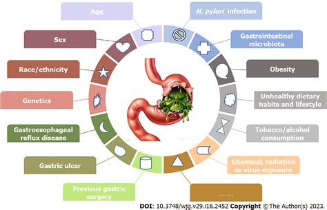 Updates On Global Epidemiology Risk And Prognostic Factors Of Gastric Cancer