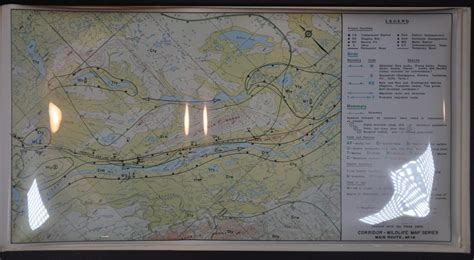 Corridor Wildlife Map Series - Curtis Wright Maps