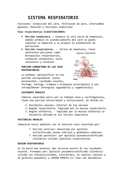 Sistema Respiratorio Resumen Sistema Respiratorio Funciones