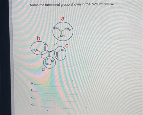 Solved Name The Functional Group Shown In The Picture Below