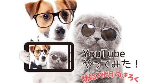 Youtube2ヶ月目の登録者数や再生回数のきろく【初心者youtuber】 窓の向こうにあるブログ