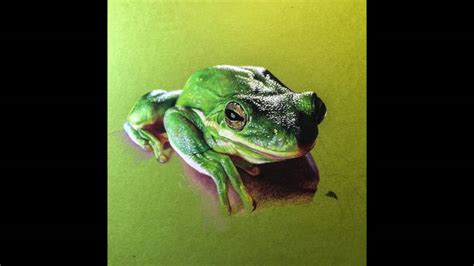 Colored Pencil Frog Drawing Youtube