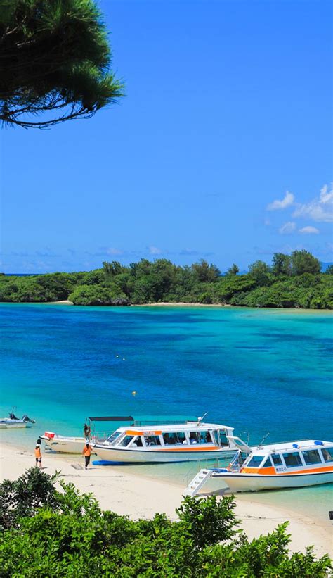 VISIT OKINAWA JAPAN | Official Okinawa Travel Guide