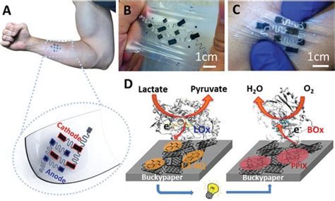 A Stretchable Biofuel Cell Sensor Device Mounted On A Human Arm Top Download Scientific