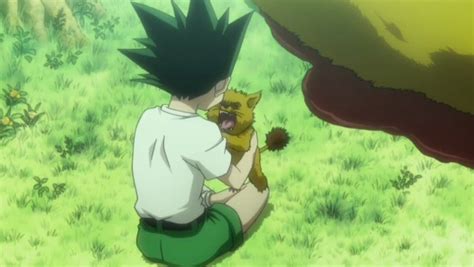 Baby Gon And Da Whatever Animal Hunter X Hunter Manga Anime Animals