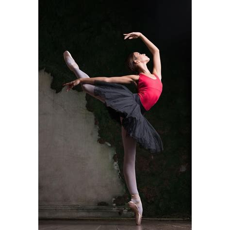 Sofia Ballet Skirt Dance Skirts Photography Fashion Dancing Moda