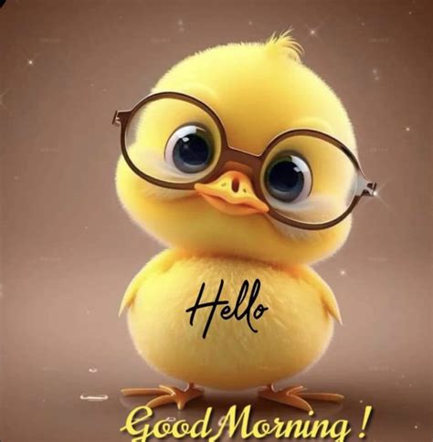 Cute Chicky Hello Good Morning Pictures Photos And Images For