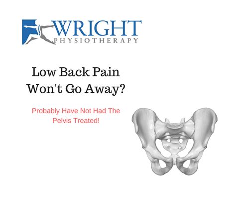 Pelvic girdle dysfunction and low back pain. | Wright Physiotherapy in ...