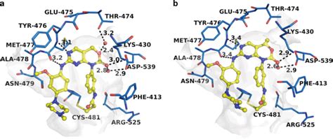 Discovery And Biological Evaluation Of N 3 7 2 Methoxy 4 4