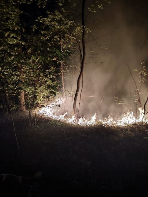 Fw Celle Waldbrand In Westercelle Presseportal