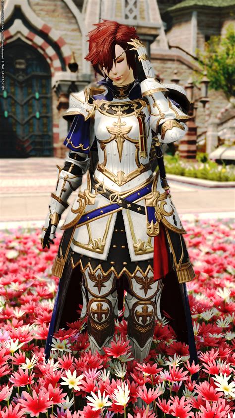 Final Fantasy Xiv Paladin