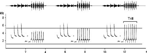 Waveform Top Panel And Spectrogram Bottom Panel Of A Song Download Scientific Diagram