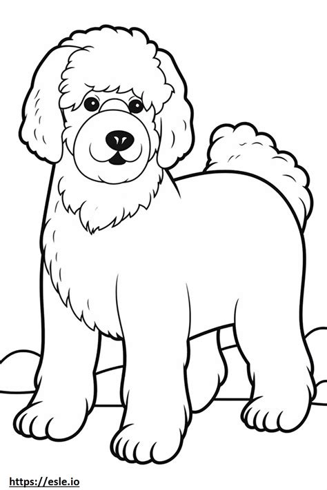 Bichon Frise Cute Coloring Page