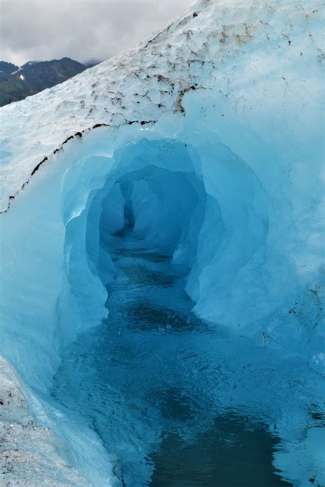 Juneau Glacier Helicopter Tour and Whale Watching