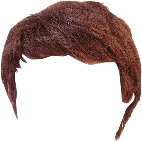 Hair Wig Png Transparent Image Download Size 887x890px